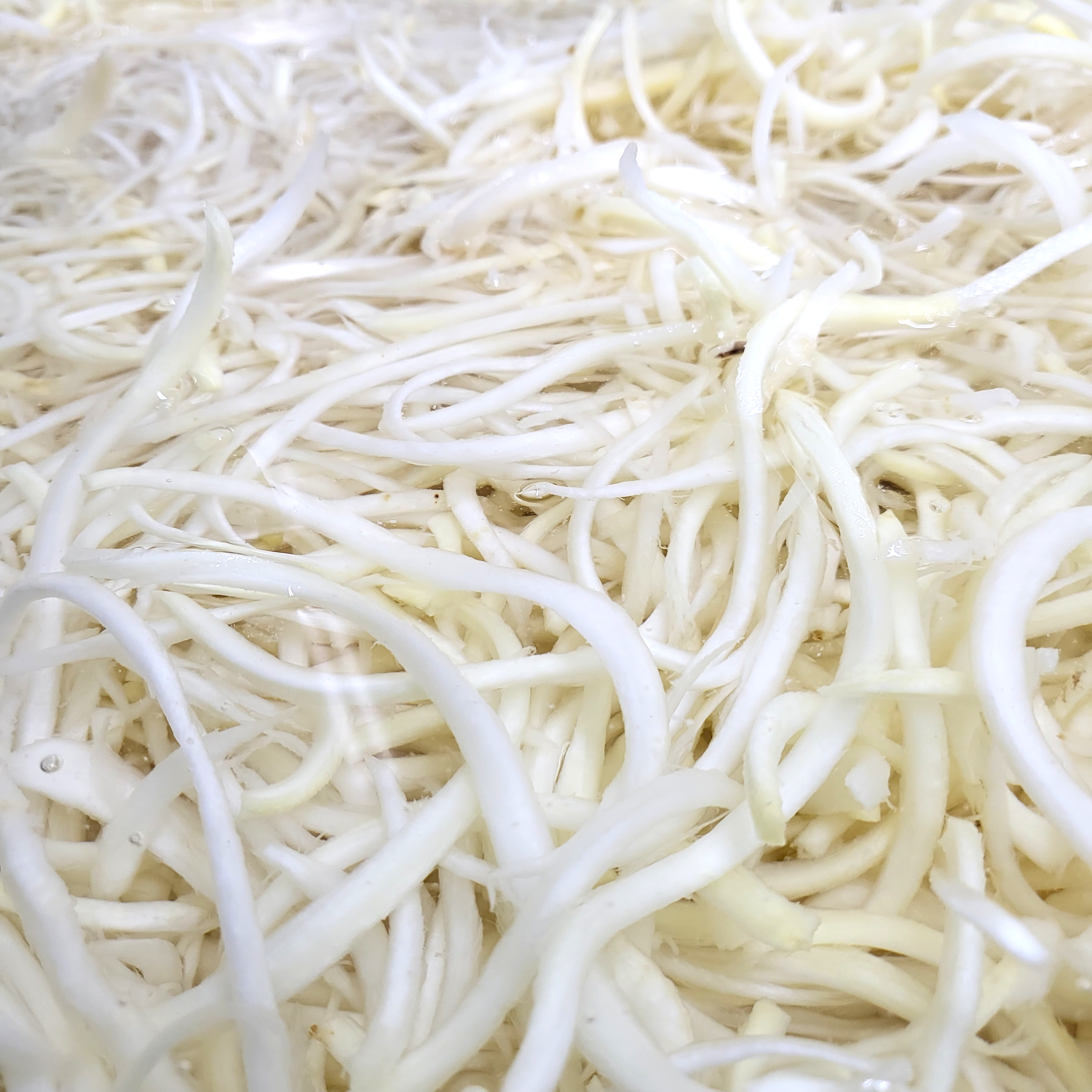 장마 (통)